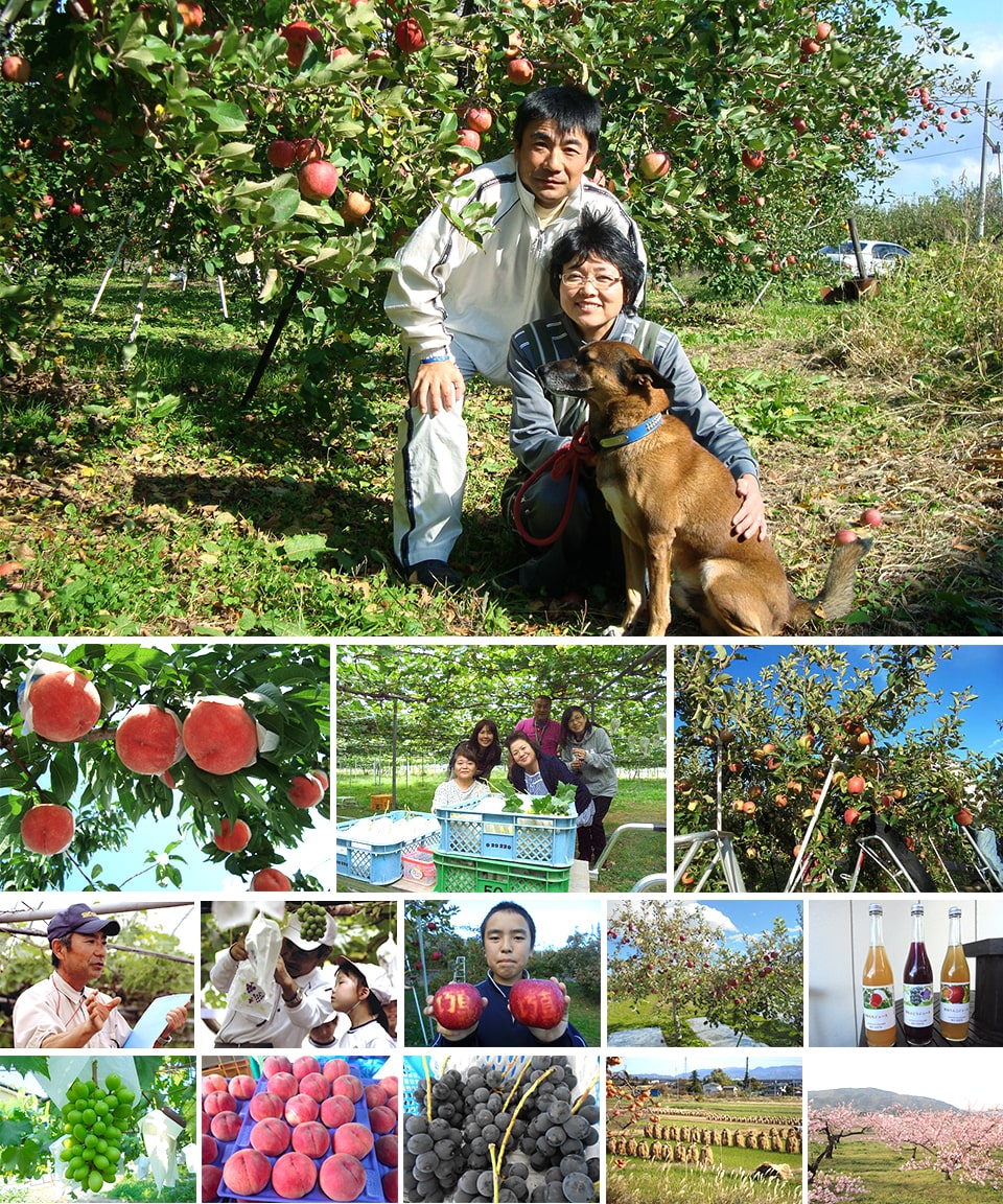 果樹園概要 | 福島県福島市 大黒屋果樹園