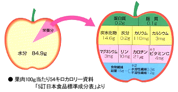 りんごの成分効能