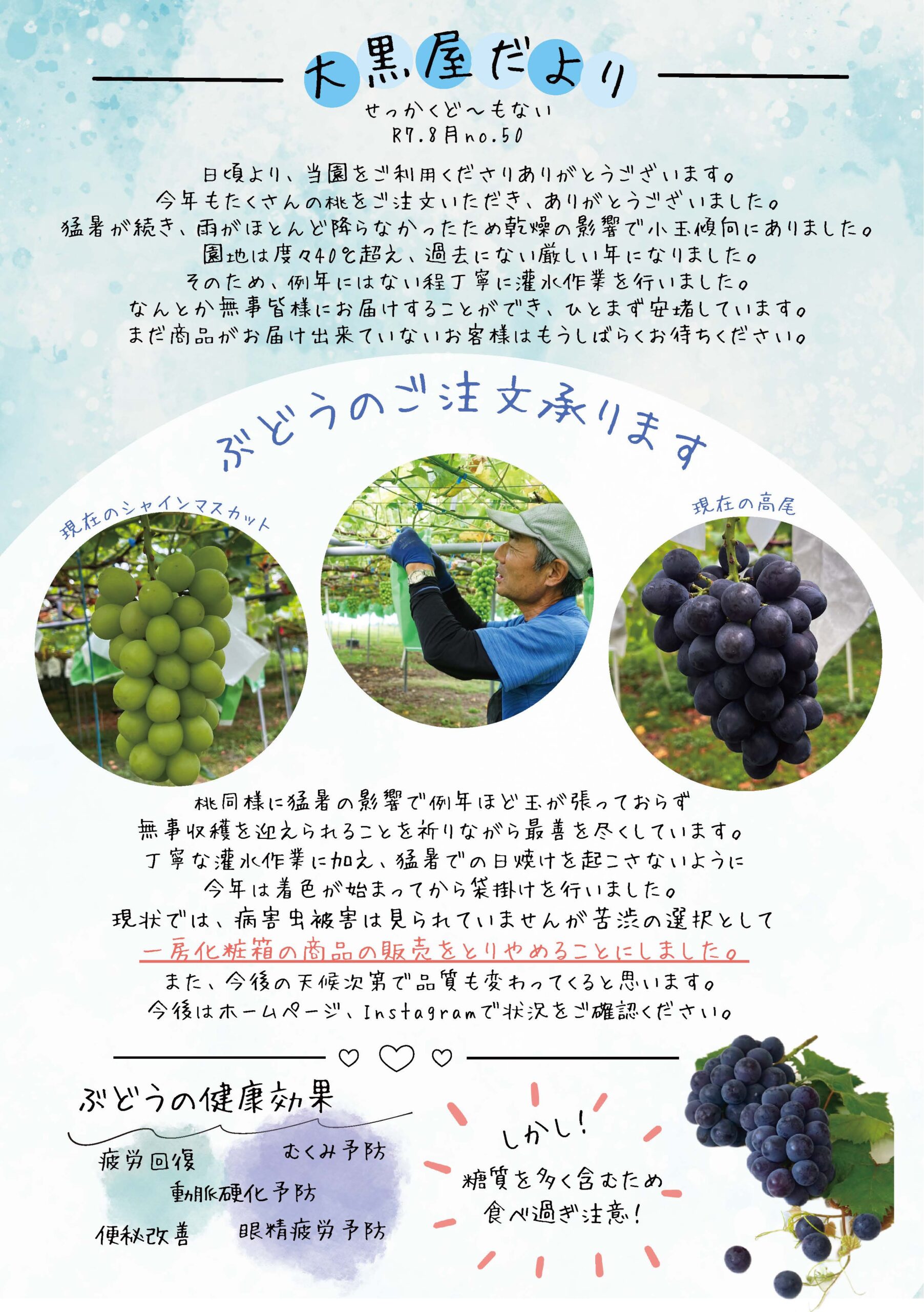 大黒屋だより ぶどう 令和7